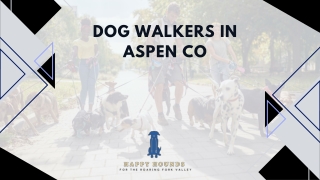Dog Walkers in Aspen CO