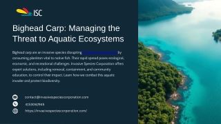 Bighead Carp Managing the Threat to Aquatic Ecosystems.