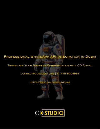 Professional WhatsApp API Integration in Dubai