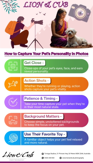 Pet Photography Sydney