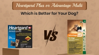 Heartgard Plus or Advantage Multi Which is Better for Your Dog