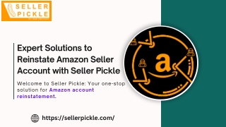 Expert Solutions to Reinstate Amazon Seller Account with Seller Pickle