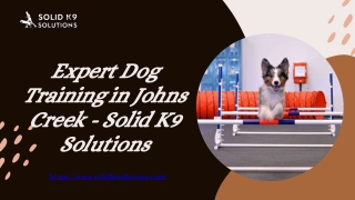 Expert Dog Training in Johns Creek - Solid K9 Solutions