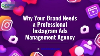 Why Your Brand Needs a Professional Instagram Ads Management Agency
