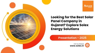 Looking for the Best Solar Panel Company in Gujarat Explore Solex Energy Solutions