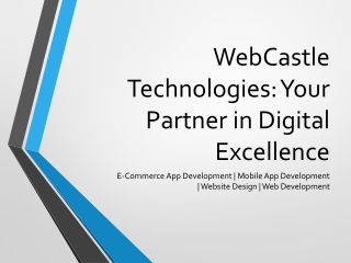 WebCastle_Technologies_Presentation (1)