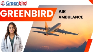 Hire at Economical Fare Greenbird Air and Train Ambulance Services in Delhi
