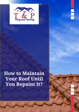 How to Maintain Your Roof Until You Repaint It