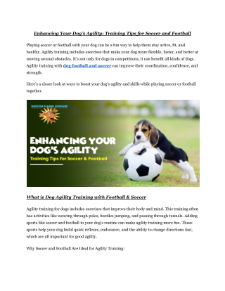 Enhancing Your Dog’s Agility: Training Tips for Soccer and Football
