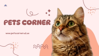 Comprehensive Pet Care Solutions in Abu Dhabi