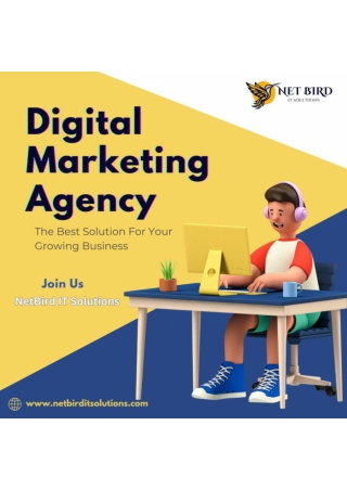 Grow Your Business with NetBird: Noida’s Best Digital Marketing Agency