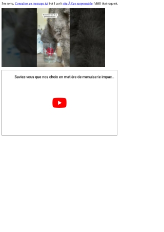 Le bilan carbone d’un site web, pourquoi c’est important ?