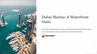 Explore Dubai Marina: A Tour for Everyone