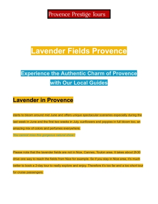 Best Wine Tours in Provence A Taste of French Elegance _ Provence Prestige Tours