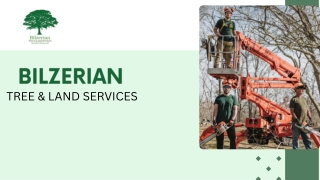 Professional Tree Trimming Services