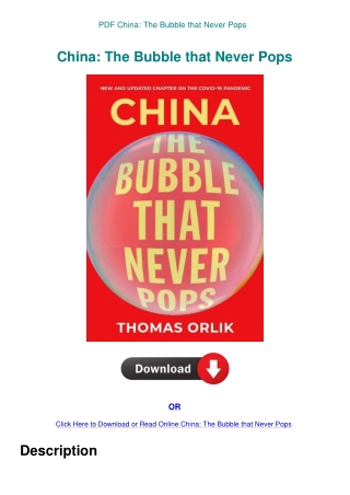 PDF China The Bubble that Never Pops