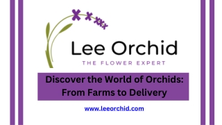 Discover the World of Orchids From Farms to Delivery