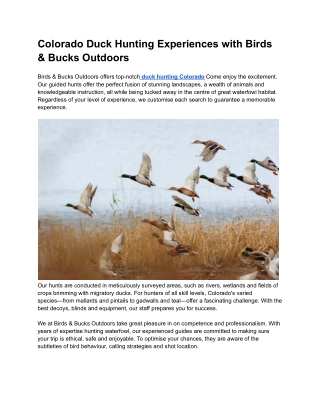 Colorado Duck Hunting Experiences with Birds & Bucks Outdoors