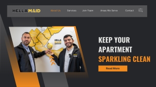 Keep Your Apartment Sparklink Clean