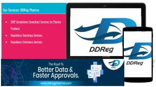 Comprehensive GMP Compliance and Regulatory Support for Pharma and Veterinary Pr