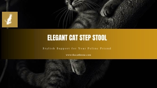 ELEGANT CAT STEP STOOL