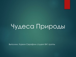 Куркин Серафим 841 группа ПЗ 73