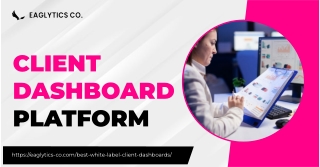 Unlock Insights with Eaglytics Co's Client Dashboard Platform