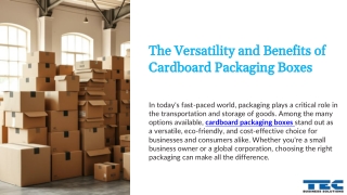 Affordable Cardboard Packaging Boxes for Businesses in Mississauga