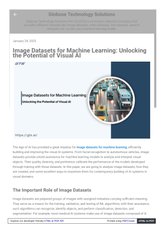 Image Datasets for Machine Learning, Unlocking the Potential of Visual AI