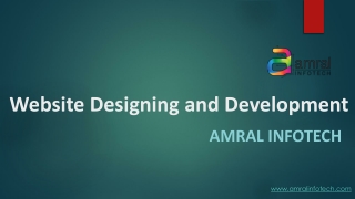 Expert Website Design & Development Services by Amral Infotech
