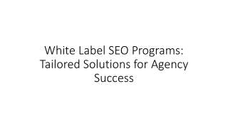 White Label SEO Programs Tailored Solutions for Agency Success