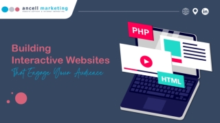 Professional Website Development Services