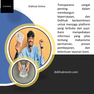 Didihub Online