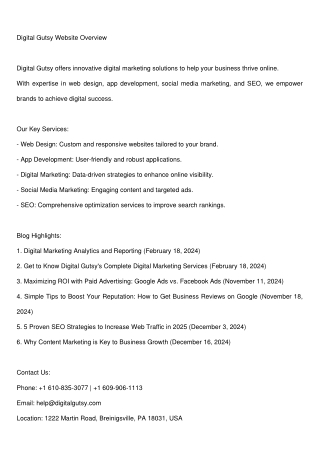 Digital Gutsy | Expert Digital Marketing Agency USA