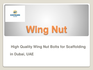 High Quality Wing Nut Bolts for Scaffolding in Dubai, UAE