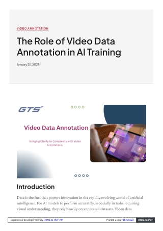The Role of Video Data Annotation in AI Training