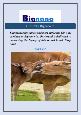 Gir Cow | Bignano.in