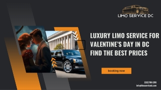 Luxury Limo Service for Valentines Day in DC  Find the Best Prices