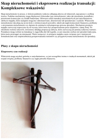 Skup nieruchomości: Profesjonalna sprzedaż lokali i szybka sprzedaż mieszkania