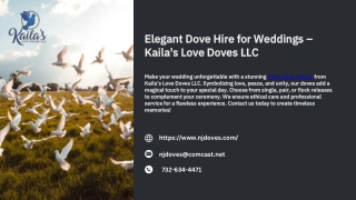 Elegant Dove Hire for Weddings – Kaila's Love Doves LLC