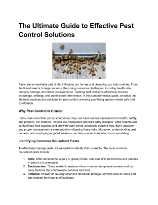 bee pest control services