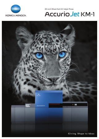 Top Profitability Industrial Printer in Dubai, UAE | Minolta Printer