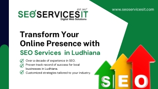 Professional SEO Company and Services in Ludhiana - SEO Service IT