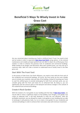 Beneficial 5 Ways To Wisely Invest in Fake Grass Cost