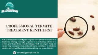 Professional Termite Treatment Kenthurst