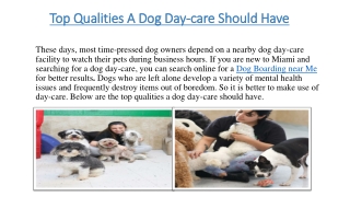 Top Qualities A Dog Day-care Should Have