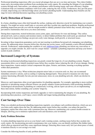 The Benefits of Professional Plumbing Inspections