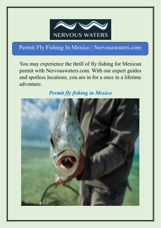 Permit Fly Fishing In Mexico | Nervouswaters.com