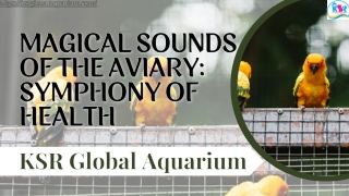 Magical Sounds of the Aviary: Symphony of Health