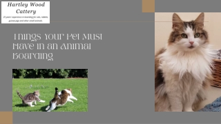 7 Facilities a Small Animal Boarding Must Provide to Your Pet
